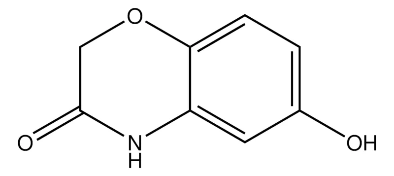 Sigma-Aldrich 6-Hydroxy-2H-benzo[b][1,4]oxazin-3(4H)-one