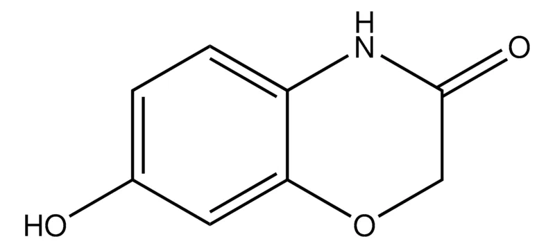 Sigma-Aldrich 7-Hydroxy-2H-benzo[b][1,4]oxazin-3(4H)-one