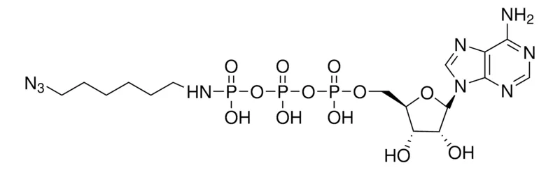 Sigma-Aldrich γ-[(6-Azidohexyl)-imido]-ATP sodium salt