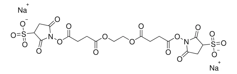 Sigma-Aldrich Sulfo-EGS (ethylene glycol bis(sulfosuccinimidyl succinate))