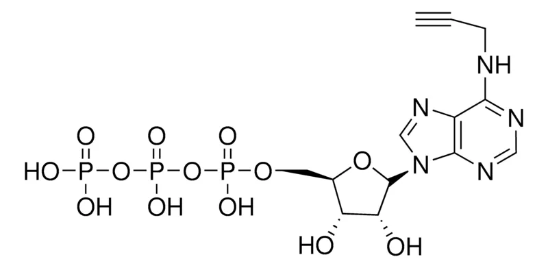 Sigma-Aldrich N6-炔丙基-ATP 钠盐