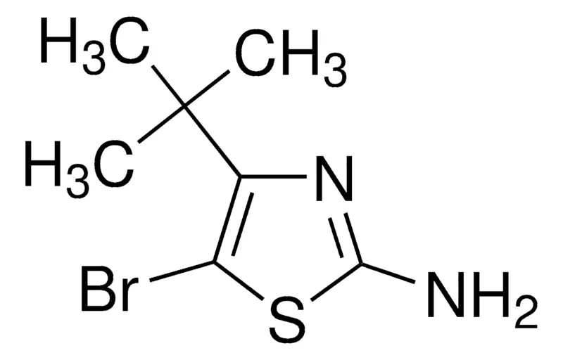 Sigma-Aldrich 5-Bromo-4-tert-butyl-1,3-thiazol-2-amine