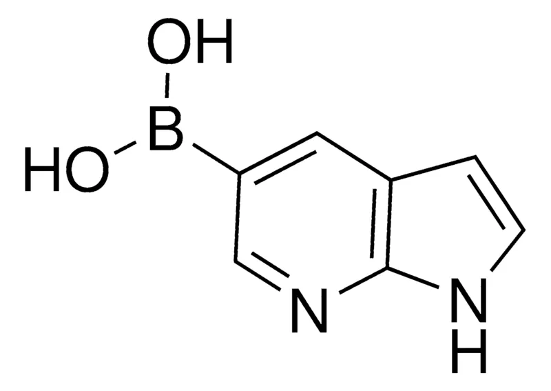 Sigma-Aldrich 1H-Pyrrolo[2,3-b]pyridin-5-ylboronic acid