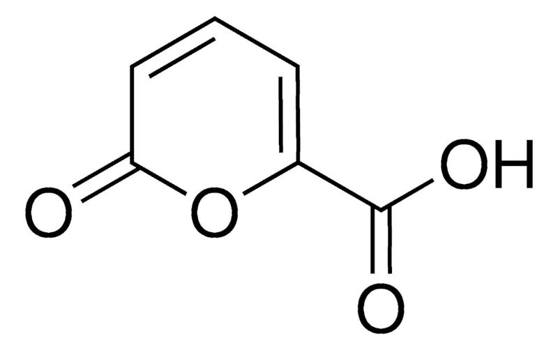 Sigma-Aldrich 2-Oxo-2H-pyran-6-carboxylic acid