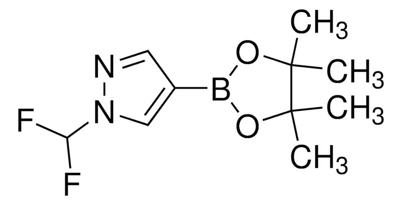 Sigma-Aldrich 1-(Difluoromethyl)-4-(4,4,5,5-tetramethyl-1,3,2-dioxaborolan-2-yl)-1H-pyrazole