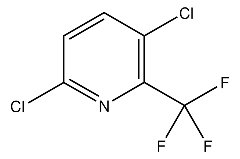 Sigma-Aldrich 3,6-Dichloro-2-(trifluoromethyl)pyridine