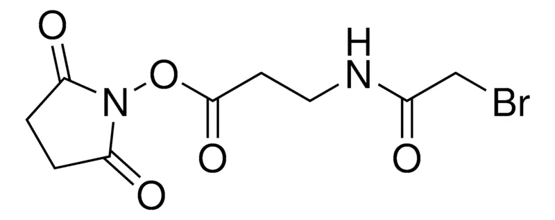 Sigma-Aldrich SBAP (succinimidyl 3-(bromoacetamido)propionate)