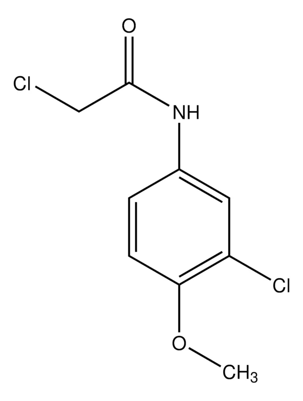 Sigma-Aldrich 2-Chloro-N-(3-chloro-4-methoxyphenyl)acetamide