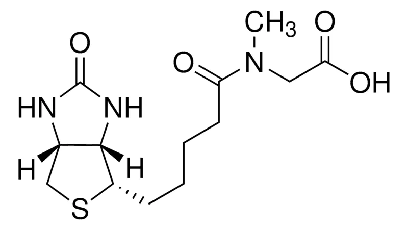 Sigma-Aldrich (+)-Biotin-sarcosine