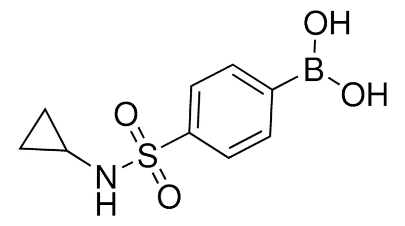 Sigma-Aldrich N-Cyclopropyl 4-boronobenzenesulfonamide