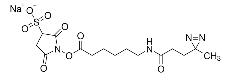 Sigma-Aldrich Sulfo-LC-SDA (Sulfo-NHS-LC-Diazirine) (sulfosuccinimidyl 6-(4,4′-azipentanamido)hexanoate)