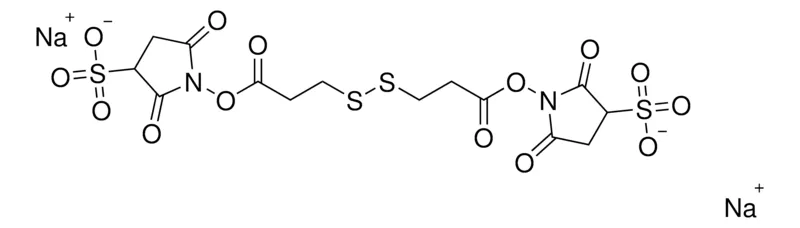 Sigma-Aldrich DTSSP（3,3′-二硫代双(磺基琥珀酰亚胺丙酸酯)）