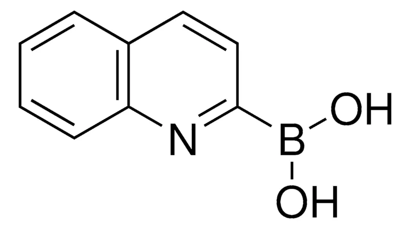 Sigma-Aldrich Quinoline-2-boronic acid