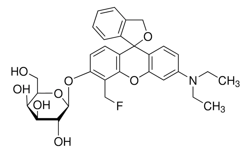 Sigma-Aldrich β-半乳糖苷酶染色剂