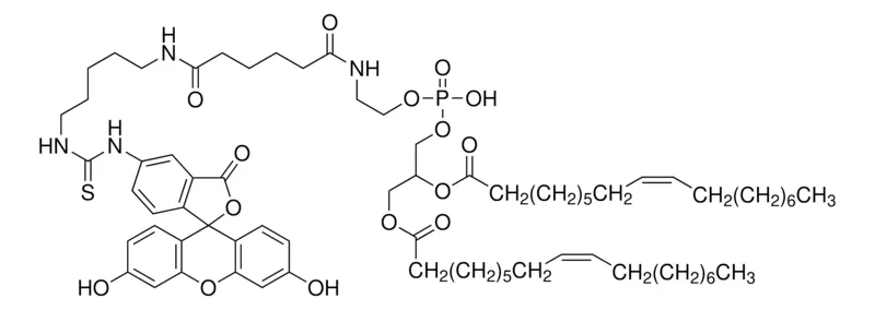 Sigma-Aldrich FSL-Fluorescein