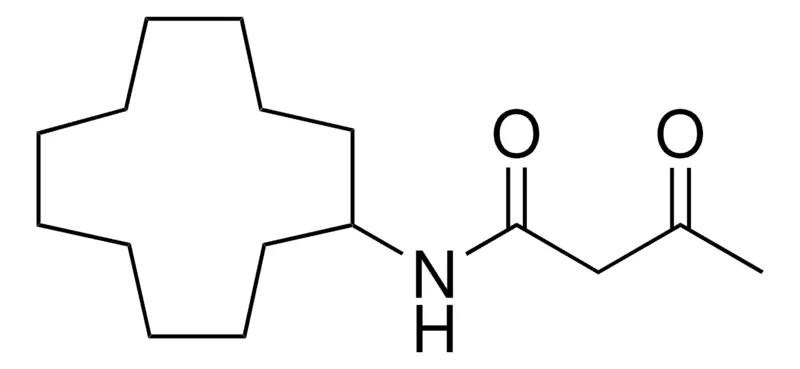 Sigma-Aldrich N-CYCLODODECYL-3-OXOBUTANAMIDE，AldrichCPR