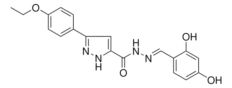 Sigma-Aldrich 5-(4-ETHOXY-PH)-2H-PYRAZOLE-3-CARBOXYLIC ACID (2,4-DI-HO-BENZYLIDENE)-HYDRAZIDE,AldrichCPR