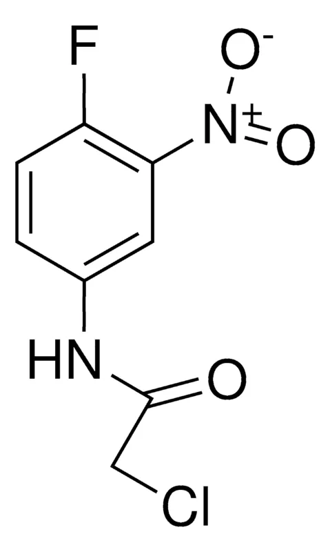 Sigma-Aldrich 2-CHLORO-4'-FLUORO-3'-NITROACETANILIDE,AldrichCPR