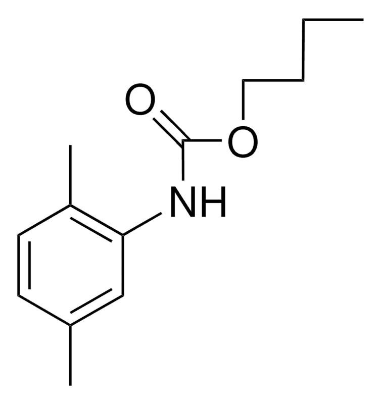Sigma-Aldrich BUTYL N-(2,5-XYLYL)CARBAMATE,AldrichCPR
