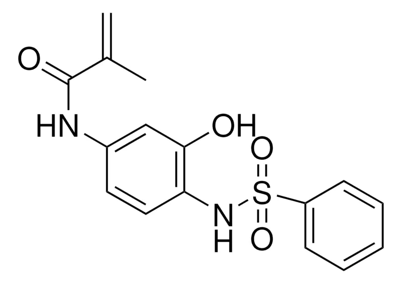 Sigma-Aldrich 3'-HYDROXY-4'-(PHENYLSULFONYLAMINO)METHACRYLANILIDE,AldrichCPR