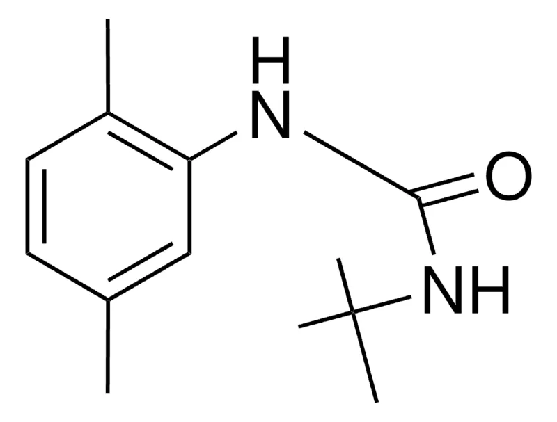 Sigma-Aldrich 1-(TERT-BUTYL)-3-(2,5-XYLYL)UREA，AldrichCPR
