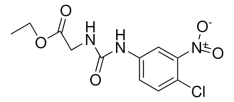 Sigma-Aldrich ETHYL 2-(4-CHLORO-3-NITROPHENYLUREIDO)ACETATE,AldrichCPR