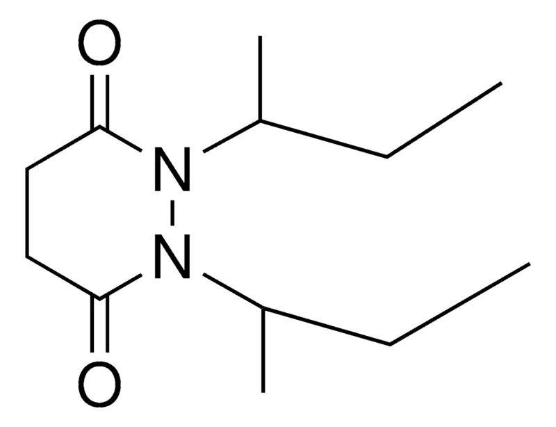 Sigma-Aldrich 1,2-BIS(1-METHYLPROPYL)-4,5-DIHYDRO-3,6(1H,2H)-PYRIDAZINEDIONE,AldrichCPR