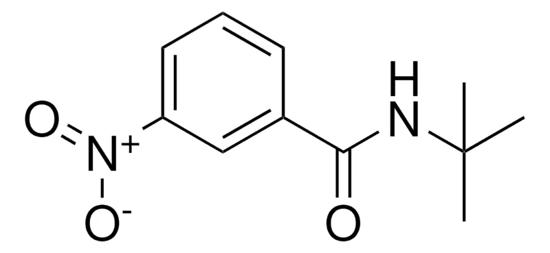 Sigma-Aldrich N-(TERT-BUTYL)-3-NITROBENZAMIDE，AldrichCPR