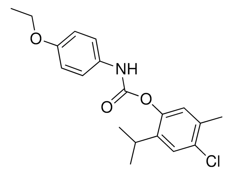 Sigma-Aldrich 4-CHLORO-2-ISOPROPYL-5-METHYLPHENYL N-(4-ETHOXYPHENYL)CARBAMATE，AldrichCPR