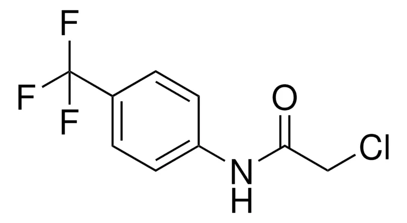 Sigma-Aldrich 2-CHLORO-N-(4-(TRIFLUOROMETHYL)PHENYL)ACETAMIDE,AldrichCPR