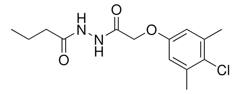 Sigma-Aldrich BUTYRIC ACID N'-((4-CHLORO-3,5-DIMETHYL-PHENOXY)-ACETYL)-HYDRAZIDE,AldrichCPR