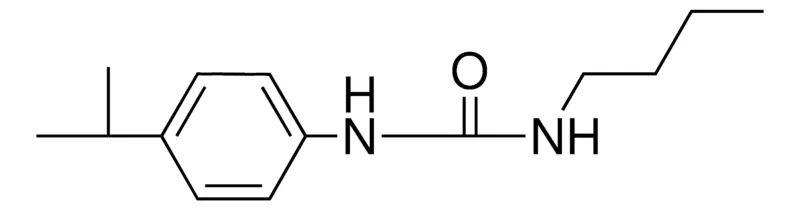 Sigma-Aldrich 1-BUTYL-3-(4-ISOPROPYL-PHENYL)-UREA，AldrichCPR