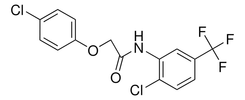 Sigma-Aldrich 2'-CHLORO-2-(4-CHLOROPHENYL)-5'-(TRIFLUOROMETHYL)ACETANILIDE,AldrichCPR