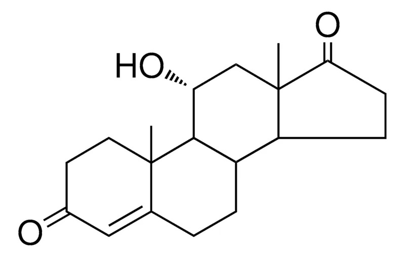 Sigma-Aldrich 11-ALPHA-HYDROXYANDROST-4-ENE-3,17-DIONE,AldrichCPR