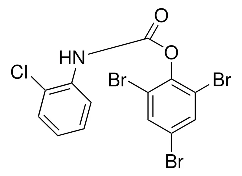 Sigma-Aldrich 2,4,6-TRIBROMOPHENYL N-(2-CHLOROPHENYL)CARBAMATE,AldrichCPR