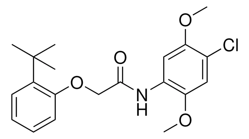 Sigma-Aldrich 2-(2-TERT-BUTYL-PHENOXY)-N-(4-CHLORO-2,5-DIMETHOXY-PHENYL)-ACETAMIDE，AldrichCPR