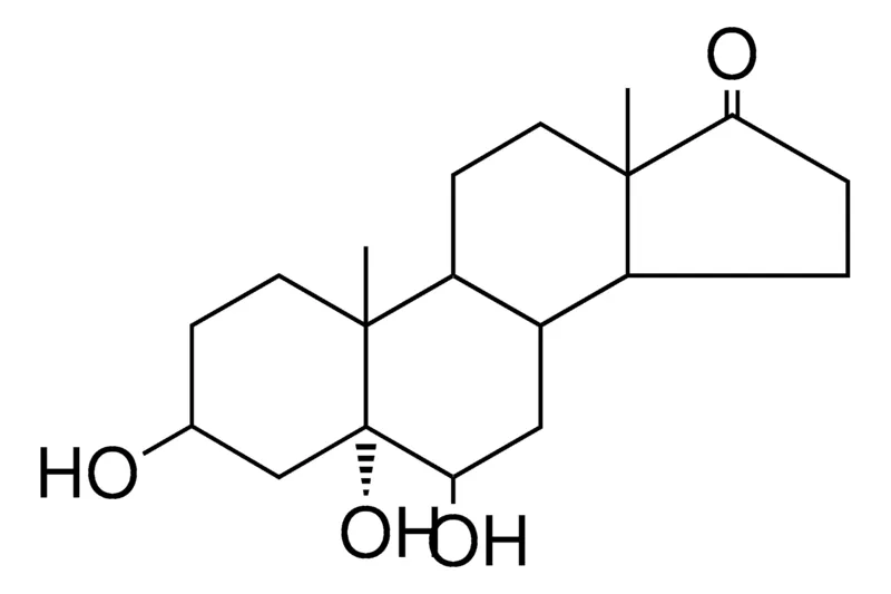 Sigma-Aldrich 3BETA,5ALPHA-6BETA-TRIHYDROXYANDROSTAN-17-ONE,AldrichCPR