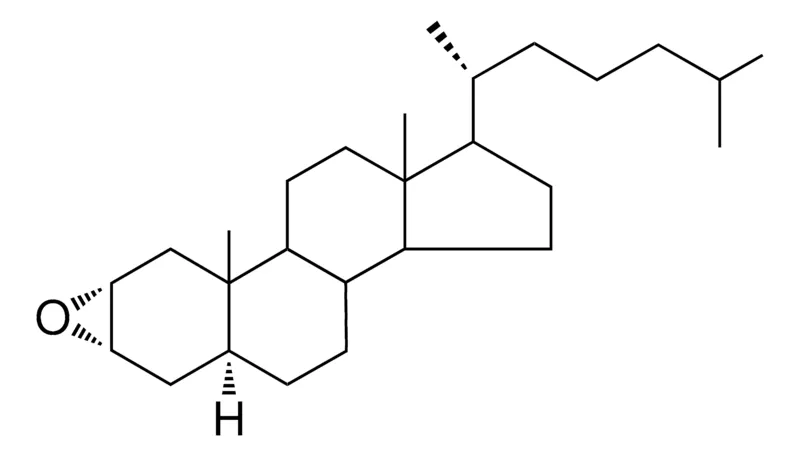 Sigma-Aldrich 2-ALPHA,3-ALPHA-EPOXY-5-ALPHA-CHOLESTANE,AldrichCPR