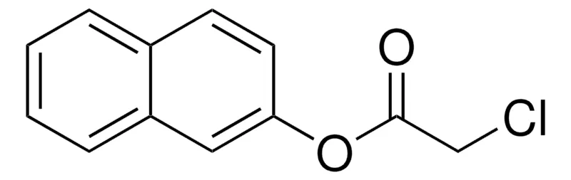 Sigma-Aldrich CHLORO-ACETIC ACID NAPHTHALEN-2-YL ESTER，AldrichCPR
