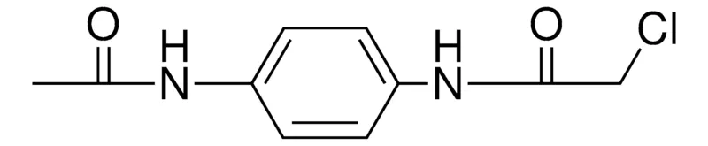 Sigma-Aldrich N-(4-ACETYLAMINO-PHENYL)-2-CHLORO-ACETAMIDE,AldrichCPR
