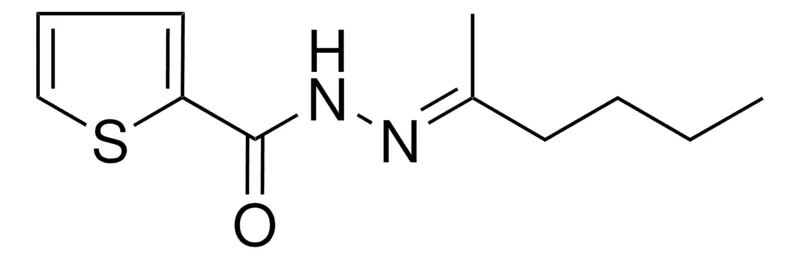 Sigma-Aldrich THIOPHENE-2-CARBOXYLIC ACID (1-METHYL-PENTYLIDENE)-HYDRAZIDE，AldrichCPR