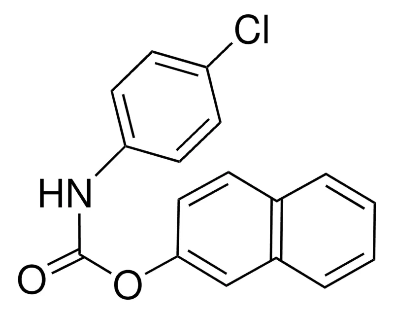 Sigma-Aldrich 2-NAPHTHYL N-(4-CHLOROPHENYL)CARBAMATE,AldrichCPR