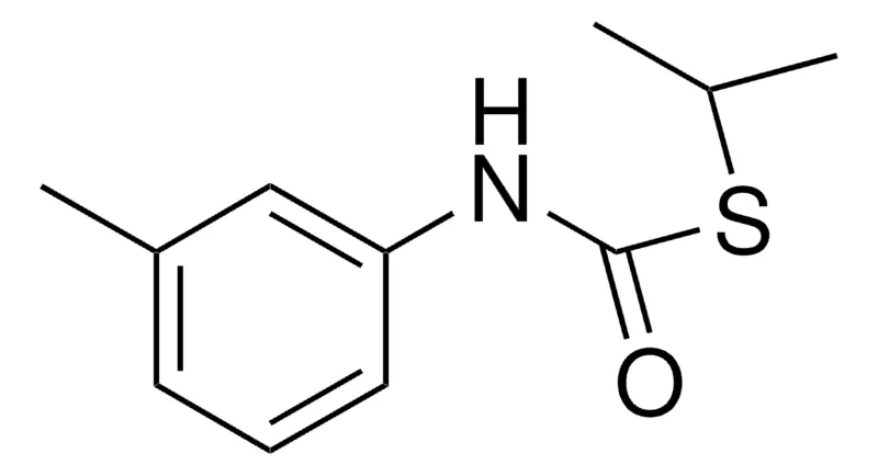 Sigma-Aldrich S-ISOPROPYL N-(M-TOLYL)THIOLCARBAMATE，AldrichCPR