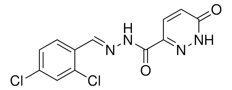 Sigma-Aldrich 6-OXO-1,6-2H-PYRIDAZINE-3-CARBOXYLIC ACID (2,4-DICHLORO-BENZYLIDENE)-HYDRAZIDE，AldrichCPR