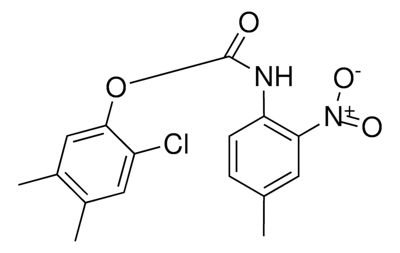 Sigma-Aldrich 2-CHLORO-4,5-DIMETHYLPHENYL N-(4-METHYL-2-NITROPHENYL)CARBAMATE,AldrichCPR