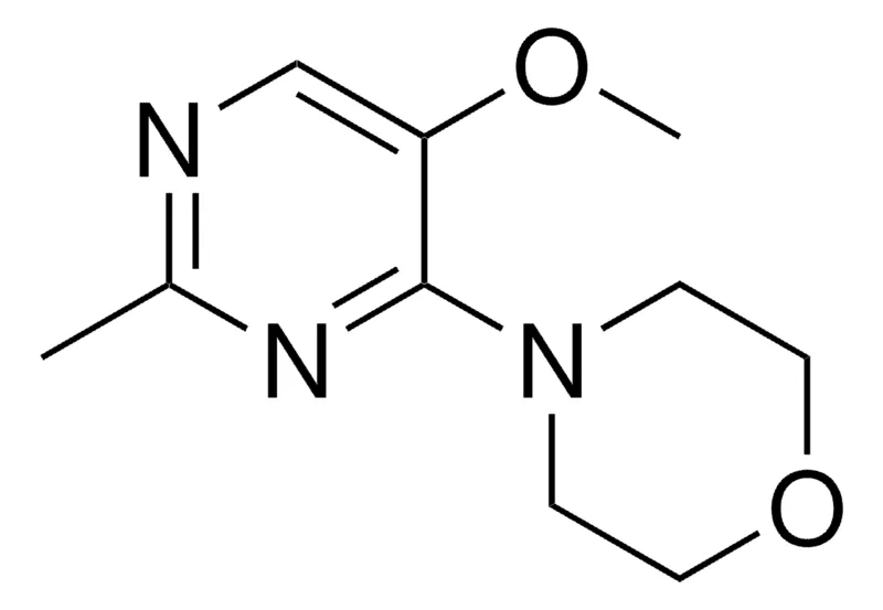 Sigma-Aldrich 4-(5-METHOXY-2-METHYL-4-PYRIMIDINYL)MORPHOLINE，AldrichCPR