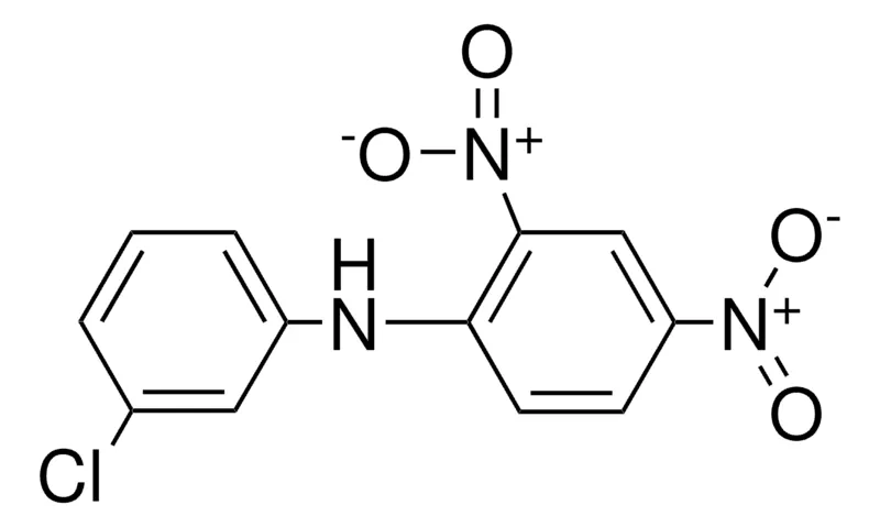 Sigma-Aldrich 3'-CHLORO-2,4-DINITRODIPHENYLAMINE,AldrichCPR