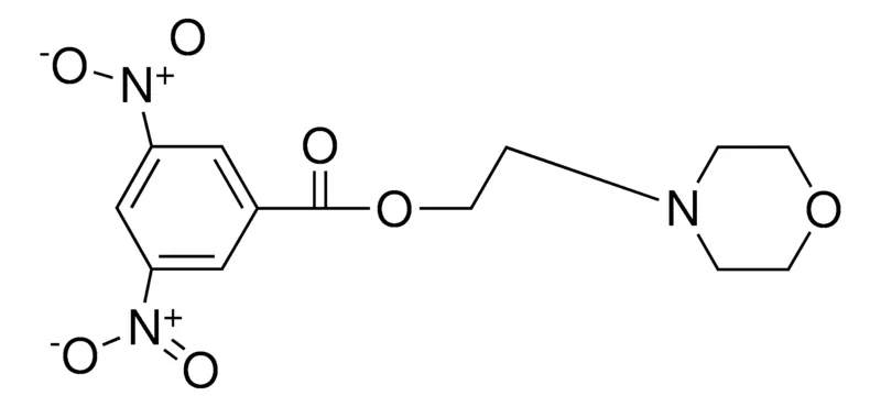 Sigma-Aldrich 3,5-DINITRO-BENZOIC ACID 2-MORPHOLIN-4-YL-ETHYL ESTER,AldrichCPR