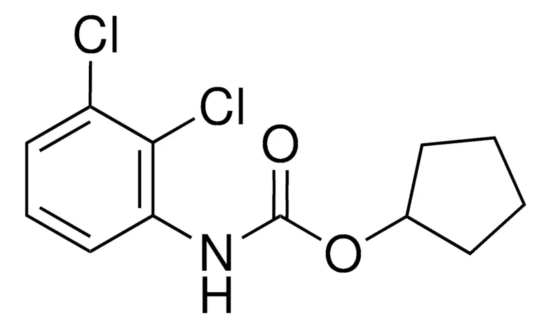 Sigma-Aldrich CYCLOPENTYL N-(2,3-DICHLOROPHENYL)CARBAMATE,AldrichCPR
