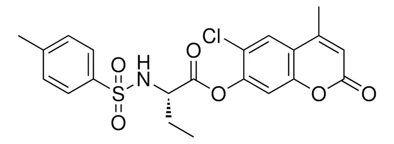 Sigma-Aldrich 2-(TOLUENE-4-SULFONYLAMINO)-BUTYRIC ACID 6-CL-4-ME-2-OXO-2H-CHROMEN-7-YL ESTER,AldrichCPR